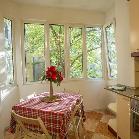 公寓 特拉兹耶公寓 *